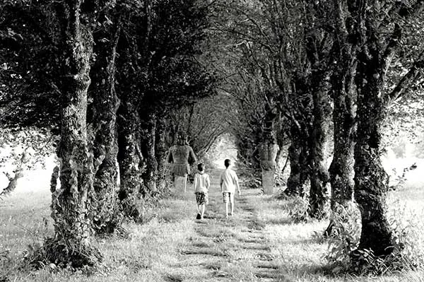 mediación familiar imagen de dos niños en blanco y negro